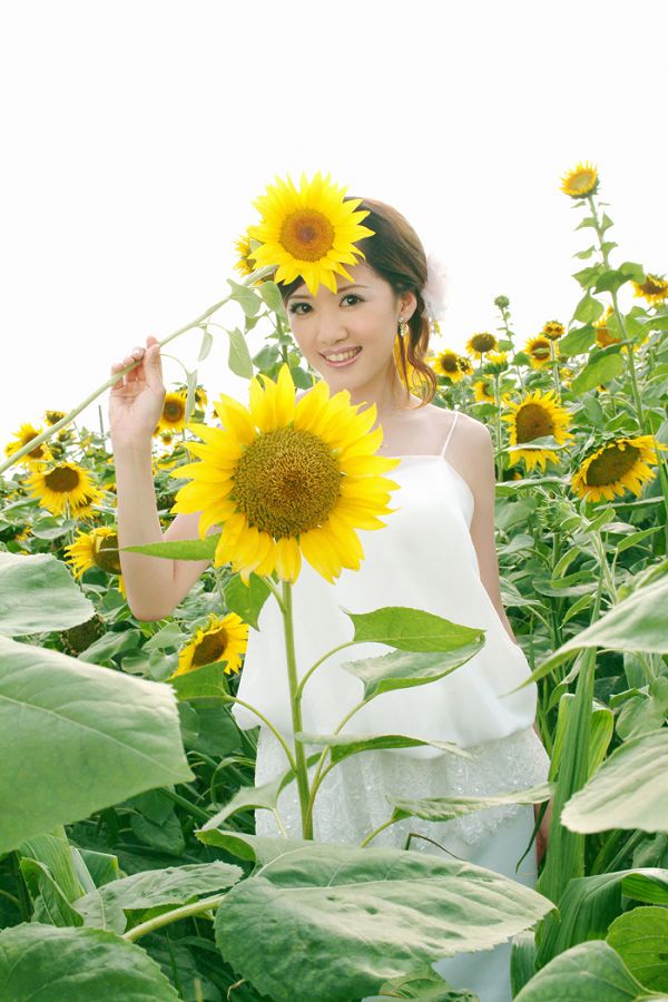 葵花仙子阳光版写真(2)